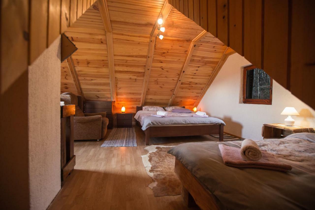 Villa Kuca Za Odmor "Neralic" à Josipdol Extérieur photo